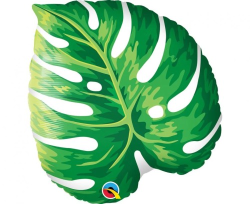 Balon foliowy 21" QL SHP  liść Tropical Philodendron