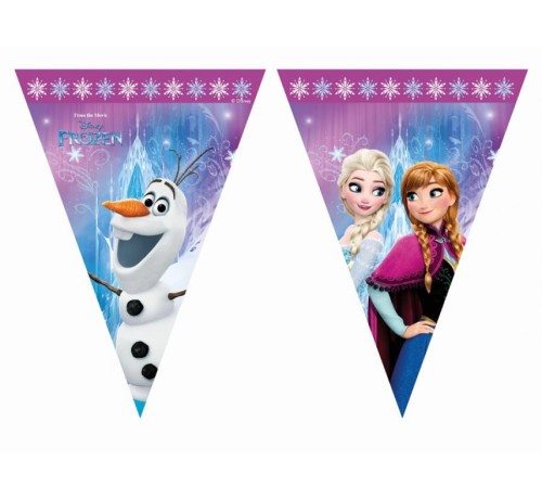 Banner "Frozen Northern Lights", flagi