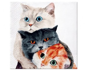 Serwetki papierowe PAW Better Together 33x33 cm / 20 szt.