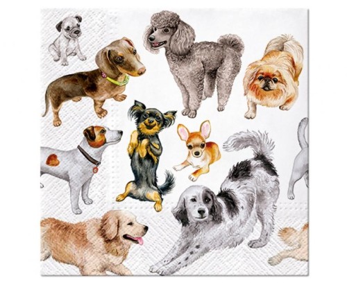 Serwetki papierowe PAW Dogs Happiness 33x33 cm / 20 szt.